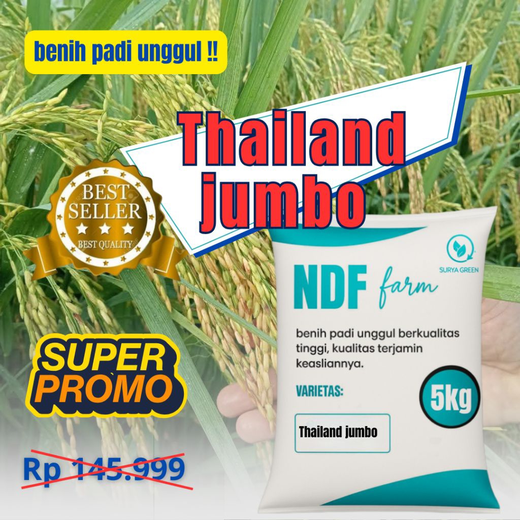 benih padi unggul Thailand jumbo