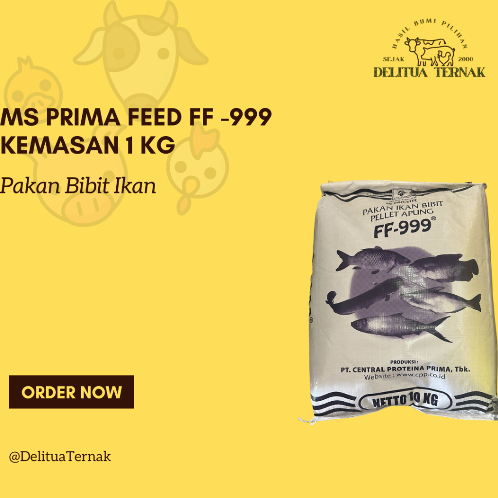 FF-999 Per 1KG - Pakan Ikan Bibit Pellet Apung