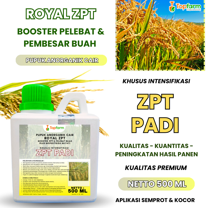Zpt Pembesar Buah Padi/ Zpt Memperbanyak Anakan Padi/ Zpt Pelebat Anakan Padi/ Zpt Padi Cepat Berbua