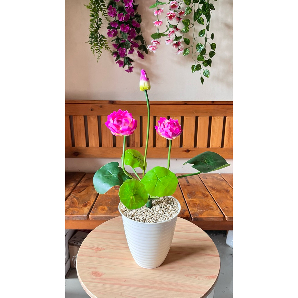 (COD) BUNGA TERATAI HIAS BESAR  BUNGA PLASTIK LOTUS HIAS  BUNGA ARTIFICIAL BUNGA TERATAI JUMBO