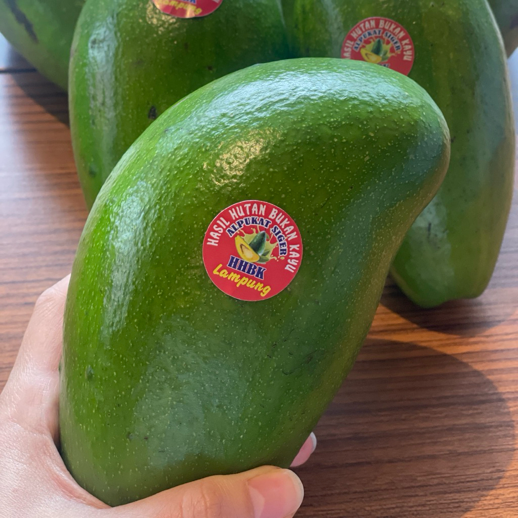 

Alpukat Siger dari Lampung
