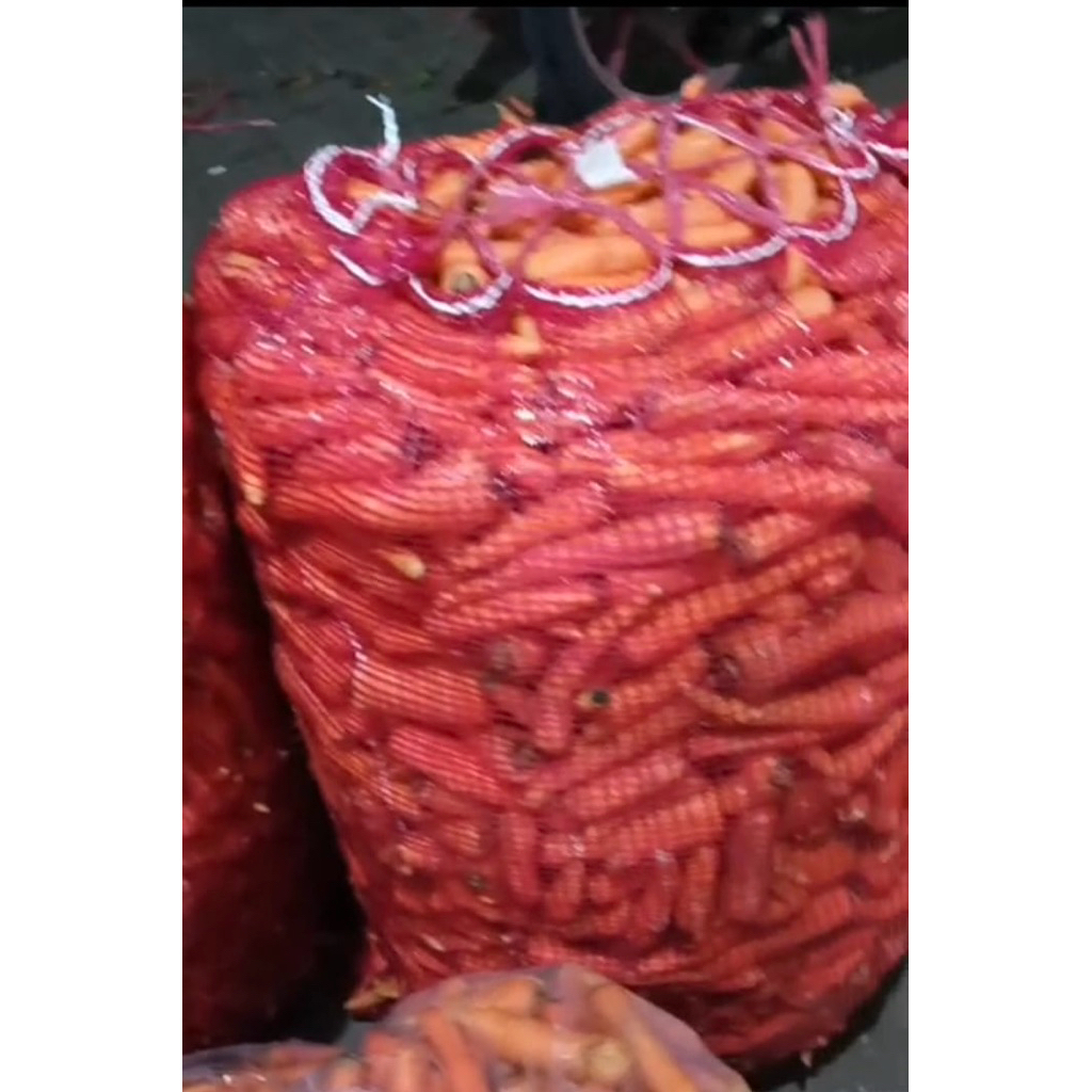 

PROMO wortel 1 kg 8rb