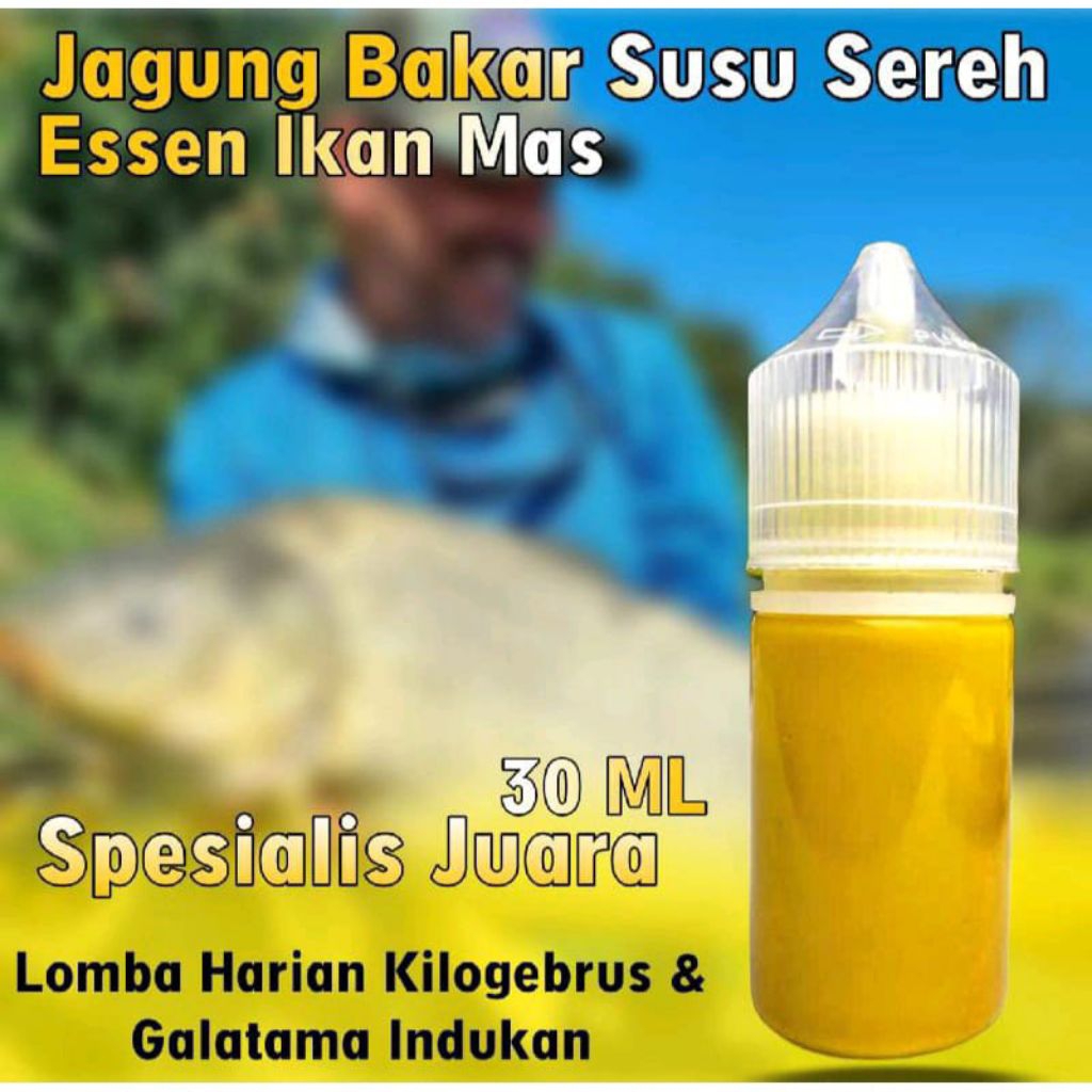 Essen Ikan Mas Paling Gacor, Essen Ikan Mas Viral, Essen Ikan Mas Indukan, Essen Ikan Mas  Mas Babon