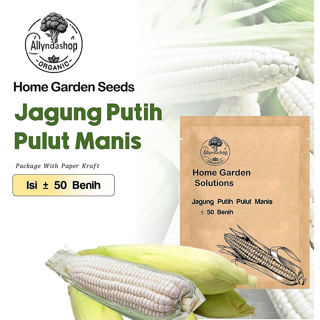 Benih Sayuran Jagung Putih Pulut Manis