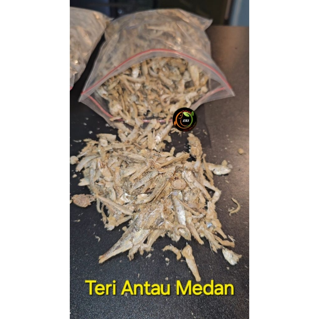 

[ TERMURAH ] IKAN TERI ANTAU SAMBAL TERI HIJAU