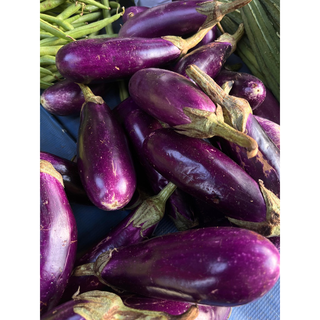 

KIRIM INSTANT Terong Ungu 500gr,1000gr