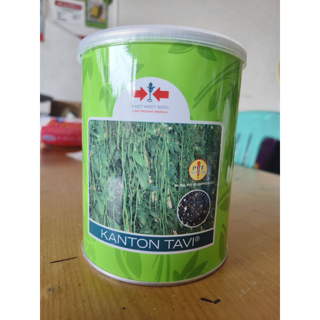 BENIH KACANG PANJANG KANTON TAVI 500GR ORIGINAL EXP 2027