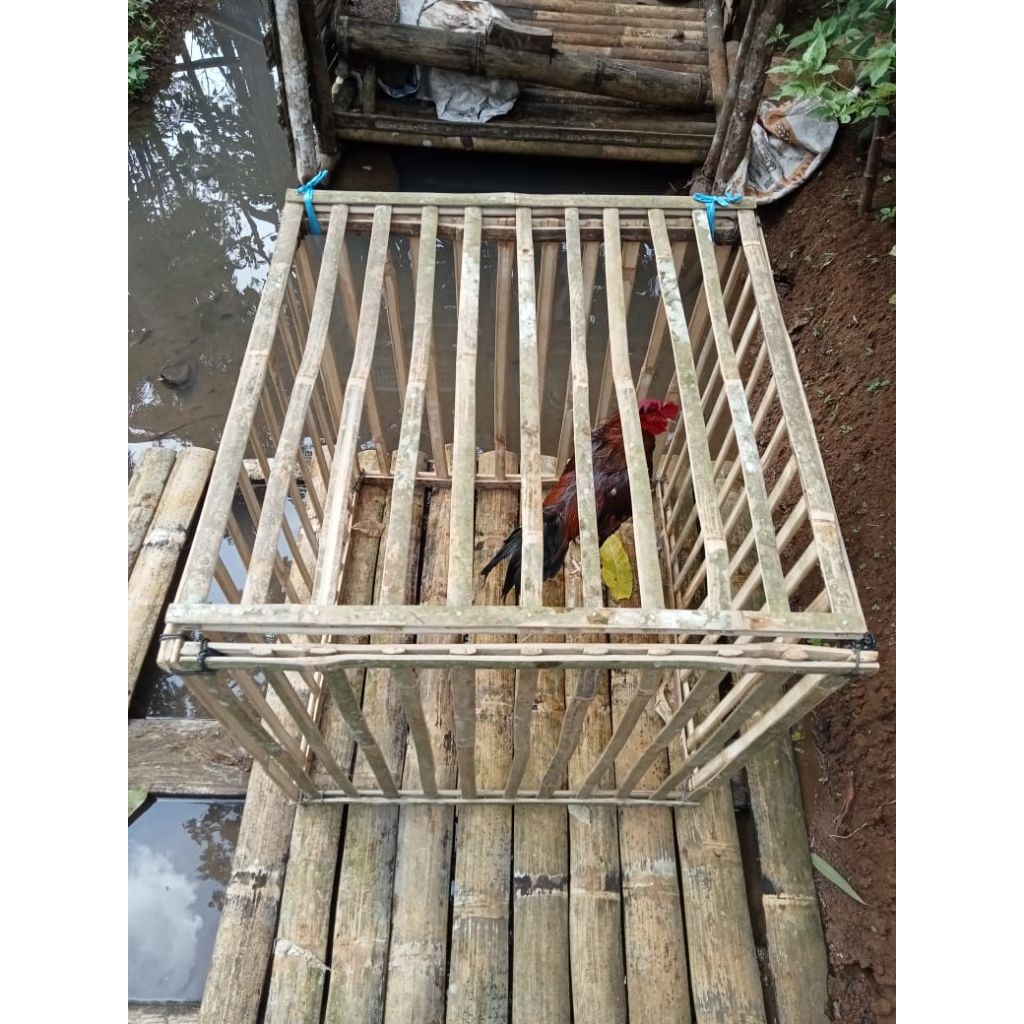 KURUNG AYAM DARI BAMBU UKURAN 80CM
