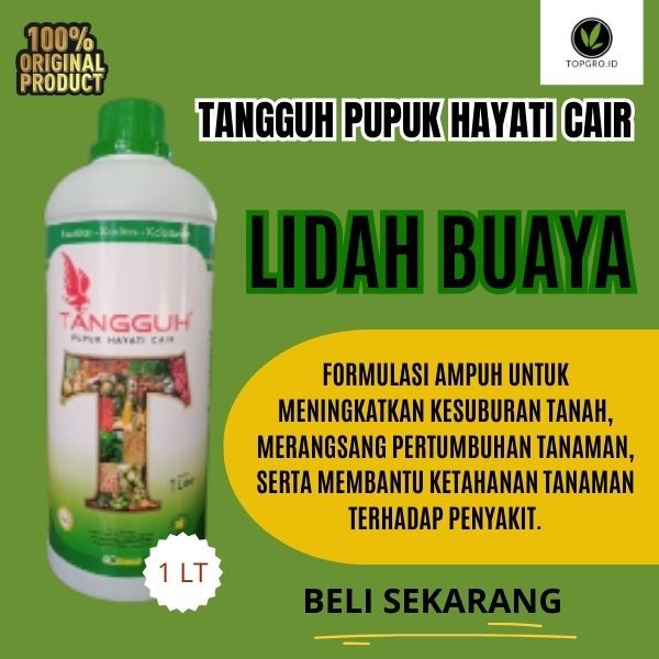 Pupuk Lidah Buaya 100 % Asli / Pupuk Hayati cair / Pupuk Organik Untuk Tanaman Lidah Buaya / Ori