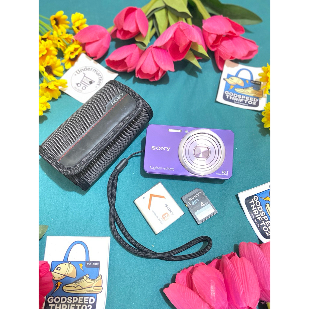 Camera Digital Sony CyberShot DSC-W570 Purple series 16.1 MegaPixels 5x Optical Zoom