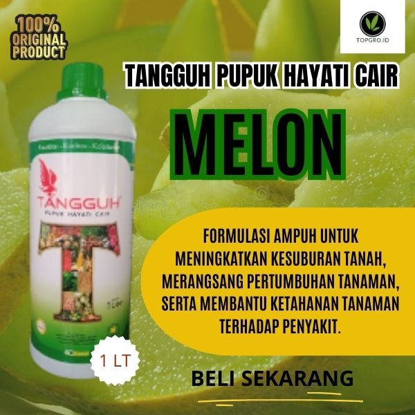 Tangguh Pupuk Hayati Cair Melon / Pupuk Melon Cepat Berbuah / Probiotik / Dekomposer / Siap pakai