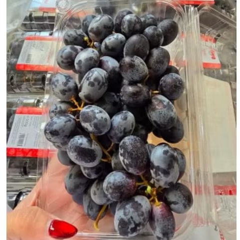 

Buah Anggur Autumn Pack Mesir Per 1 Dus karton