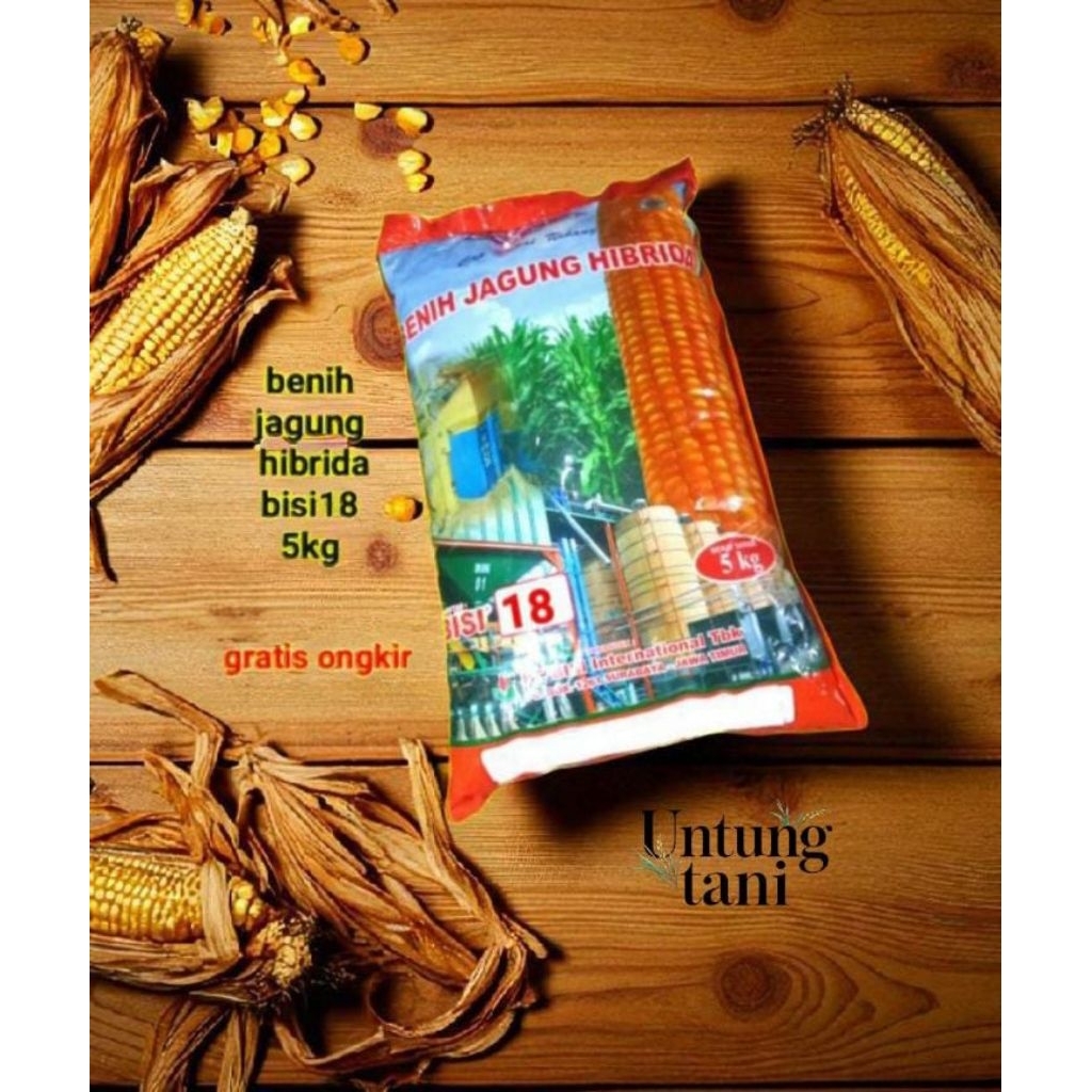 BENIH JAGUNG HIBRIDA BISI 18 KEMASAN 5 KG