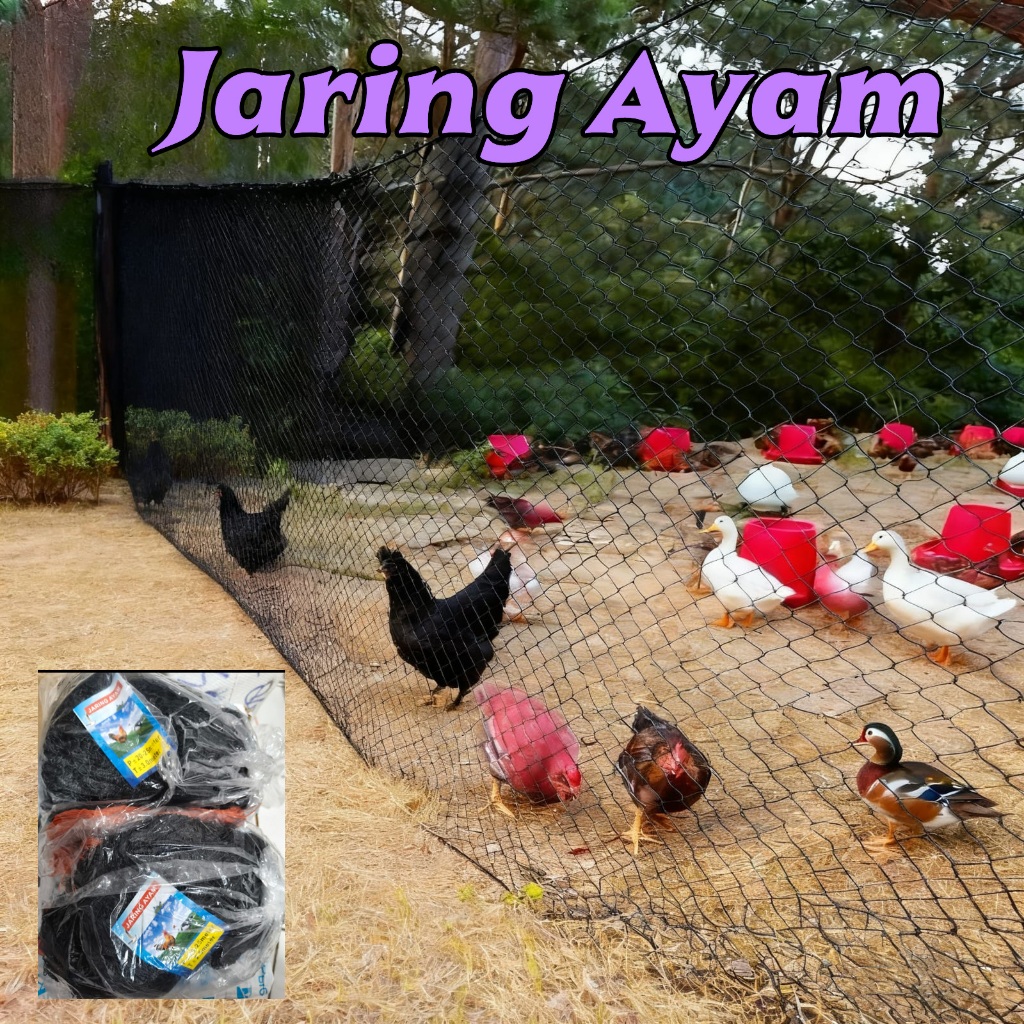WARING JARING PAGAR AYAM BERKWALITAS UNTUK TERNAK, TANAMAN, DAN IKAN 10 M - PERALATAN RUMAH & BERKEB