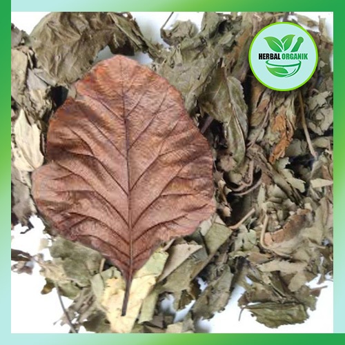 

Daun Jati kering 500 gram pucuk HERBAL ORGANIK