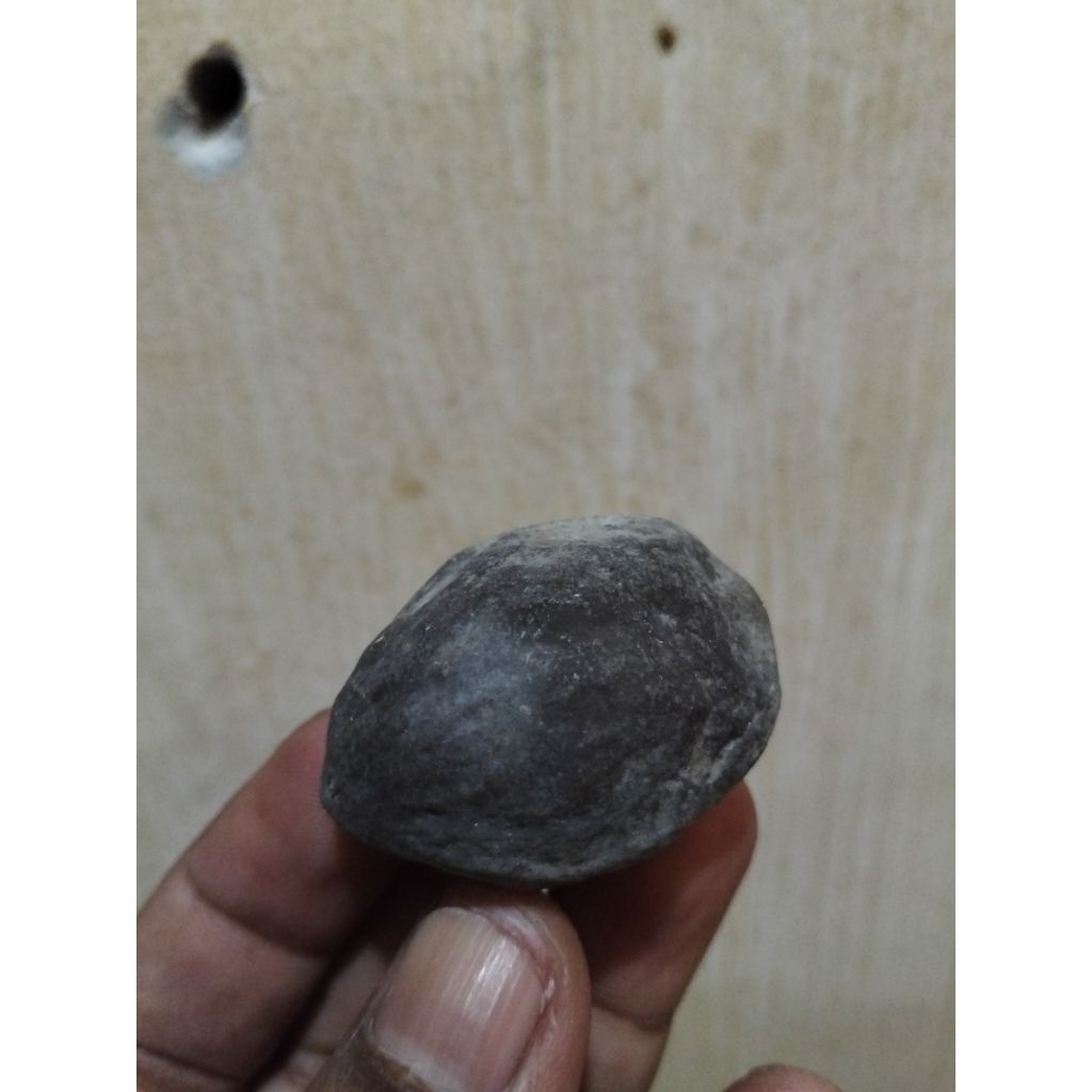 kemiri aduan Jawa produk malangbong garut