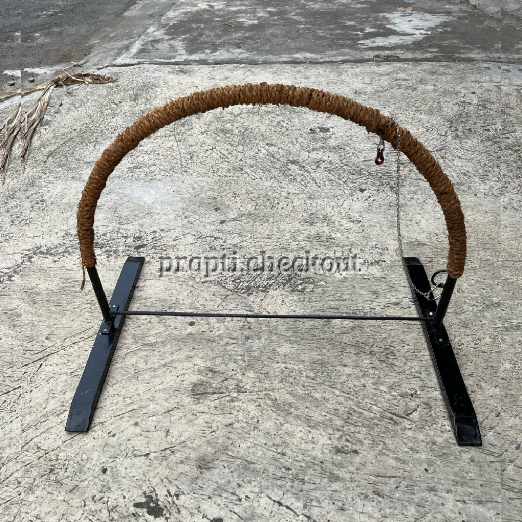 Tangkringan Burung Hantu burung Elang