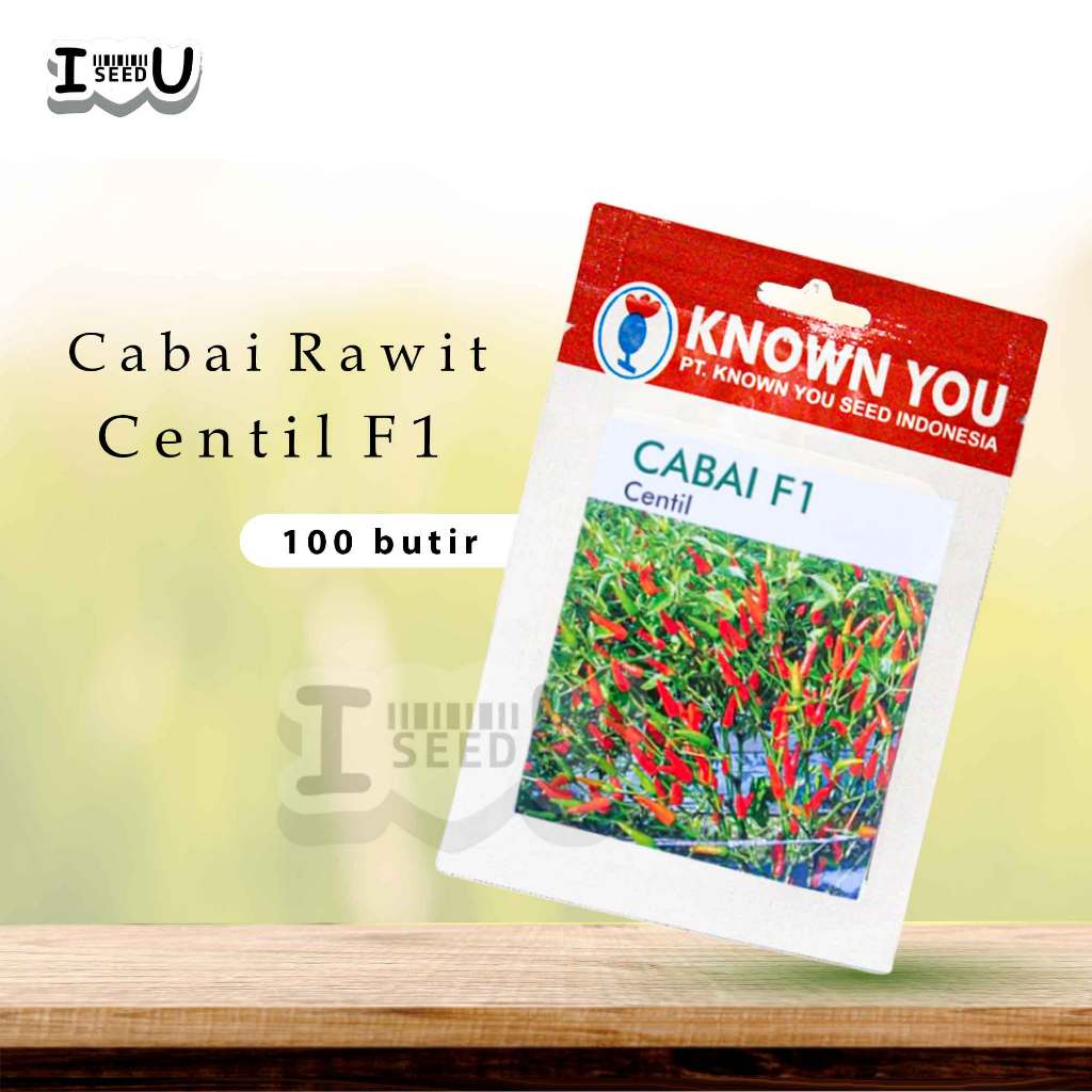 Benih Cabe Rawit Centil F1 – Known You Seed, Bibit Unggul Cepat Panen Pedas & Produktif