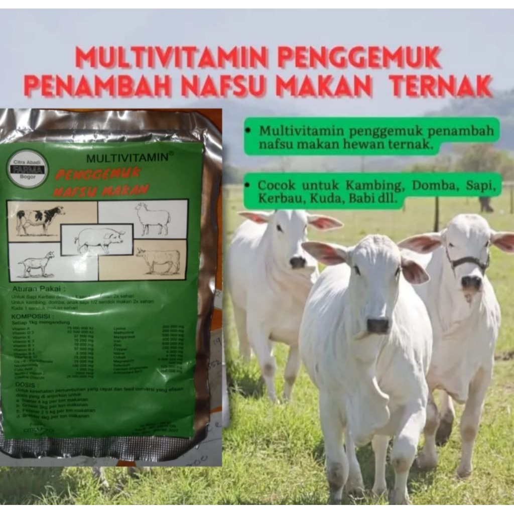 multivitamin ternak