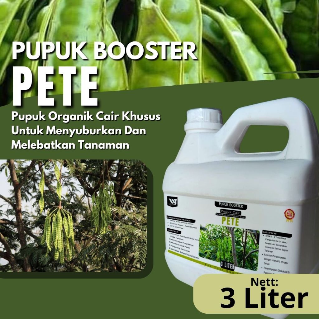 Pupuk Pohon Petai Subur Cepat Berbuah | Booster Petai Lebat, Besar, Berkualitas Tinggi