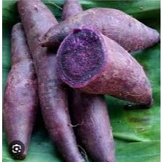 

Ubi Jalar Segar - Ubi Pulen 1 kg Fresh - Ubi Ungu - Ubi Mentah