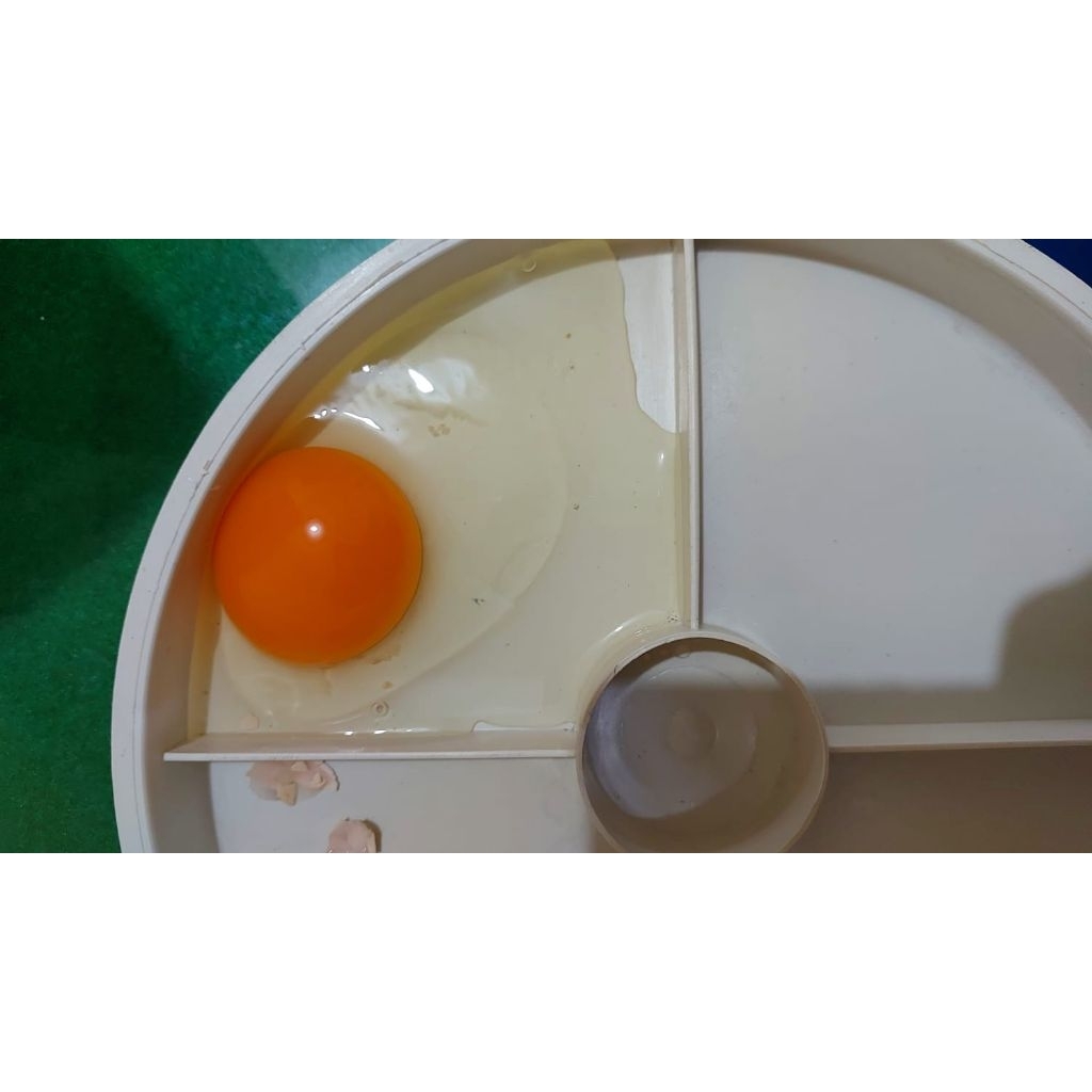 Telur Ayam Kampung Omega 3