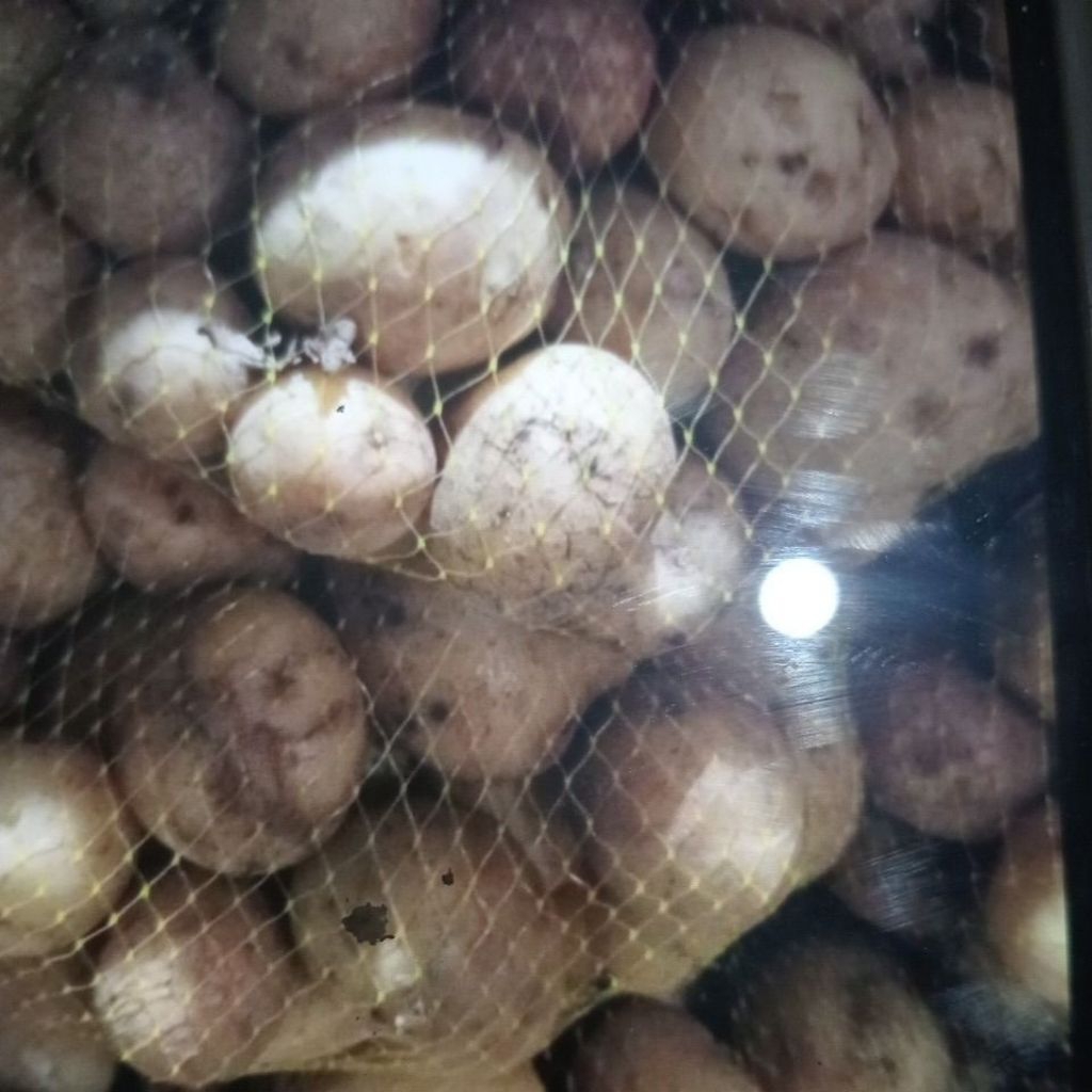 

kentang Dieng ujurang sedang 500gram