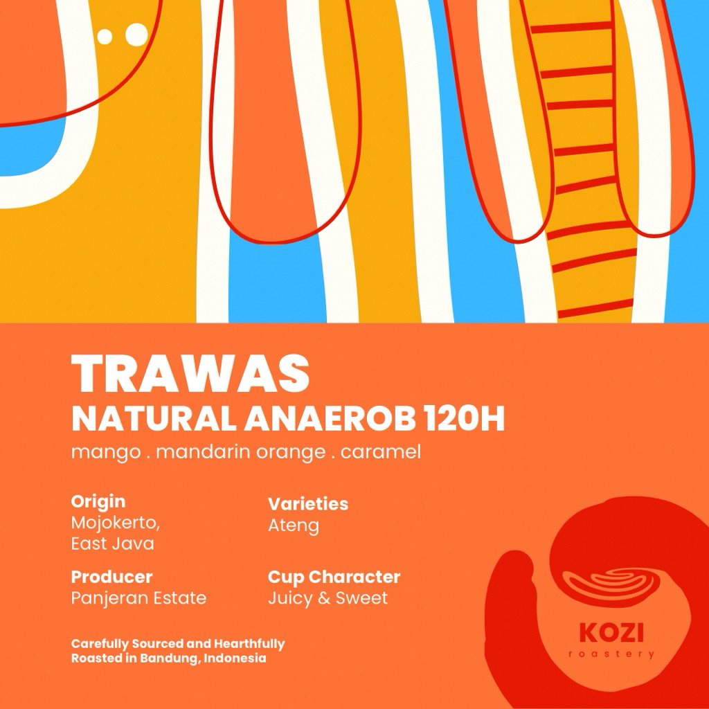 

Kopi Arabika - East Java - Trawas - Natural Anaerob 120H