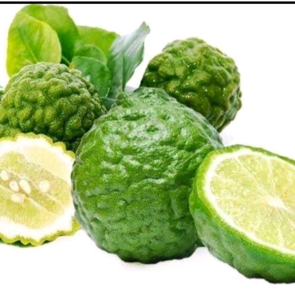 

Jeruk Purut freshh 500 gram