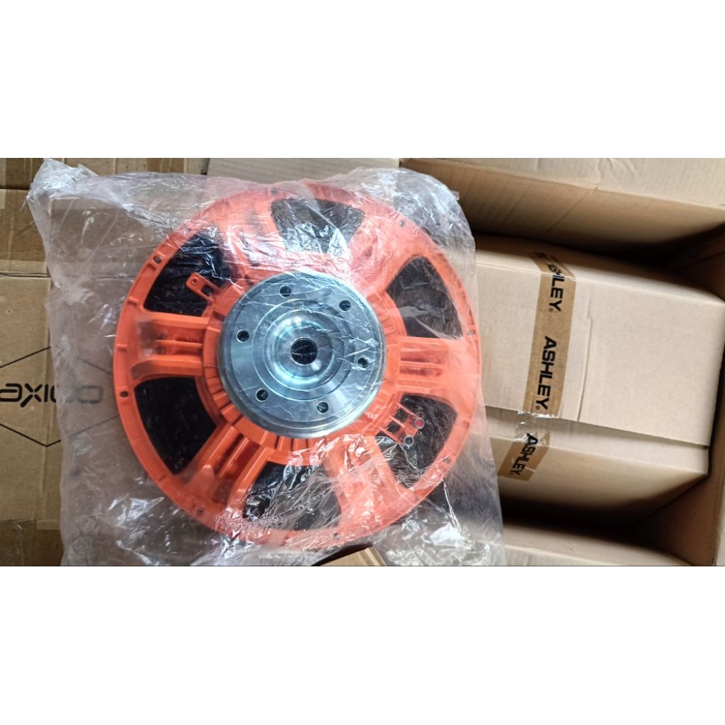 speaker Ashley 18 inch neodymium