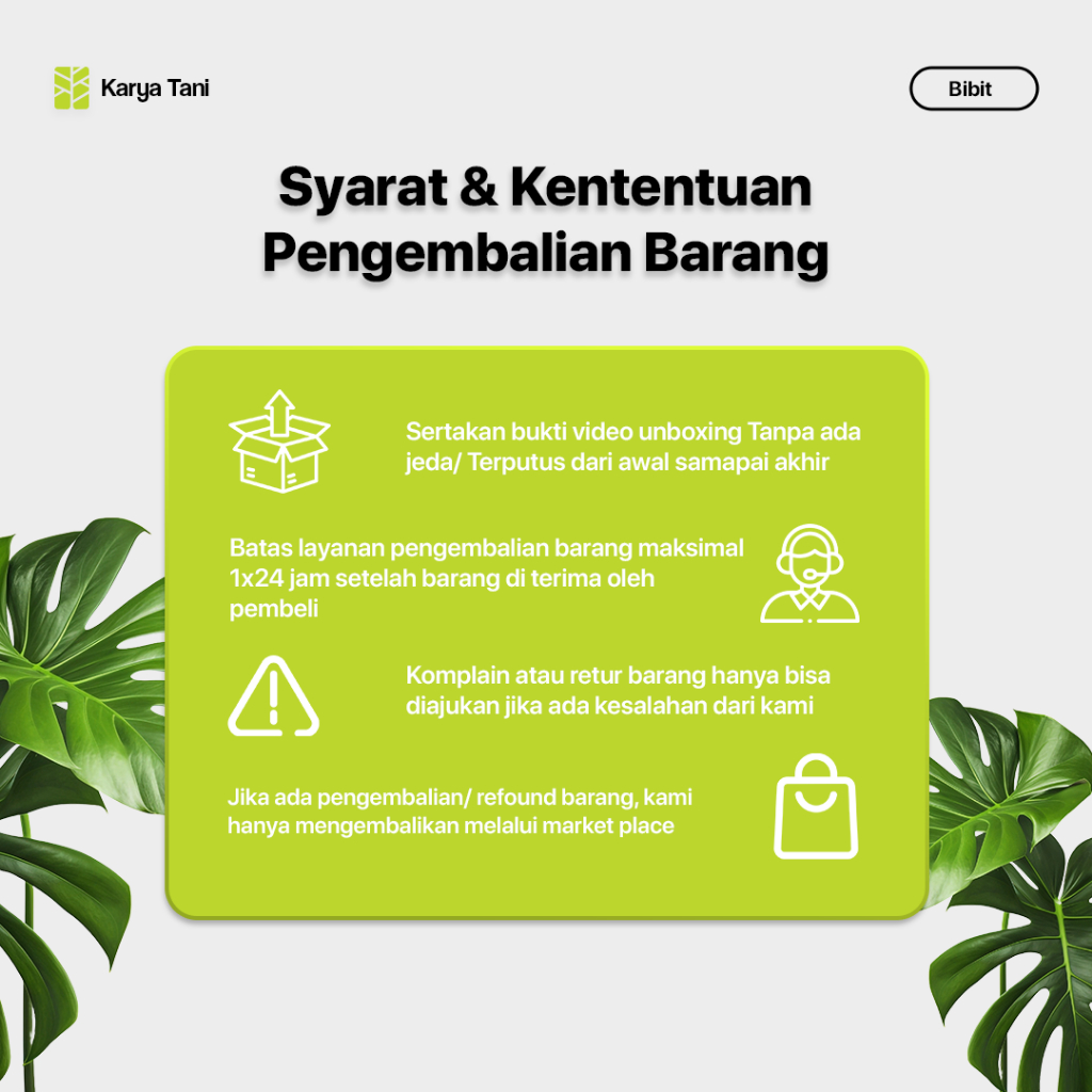 Tumbas Tani Benih Cabe Rawit Putih Sigantung / Cabe Setan 10 Gram Bintang Asia