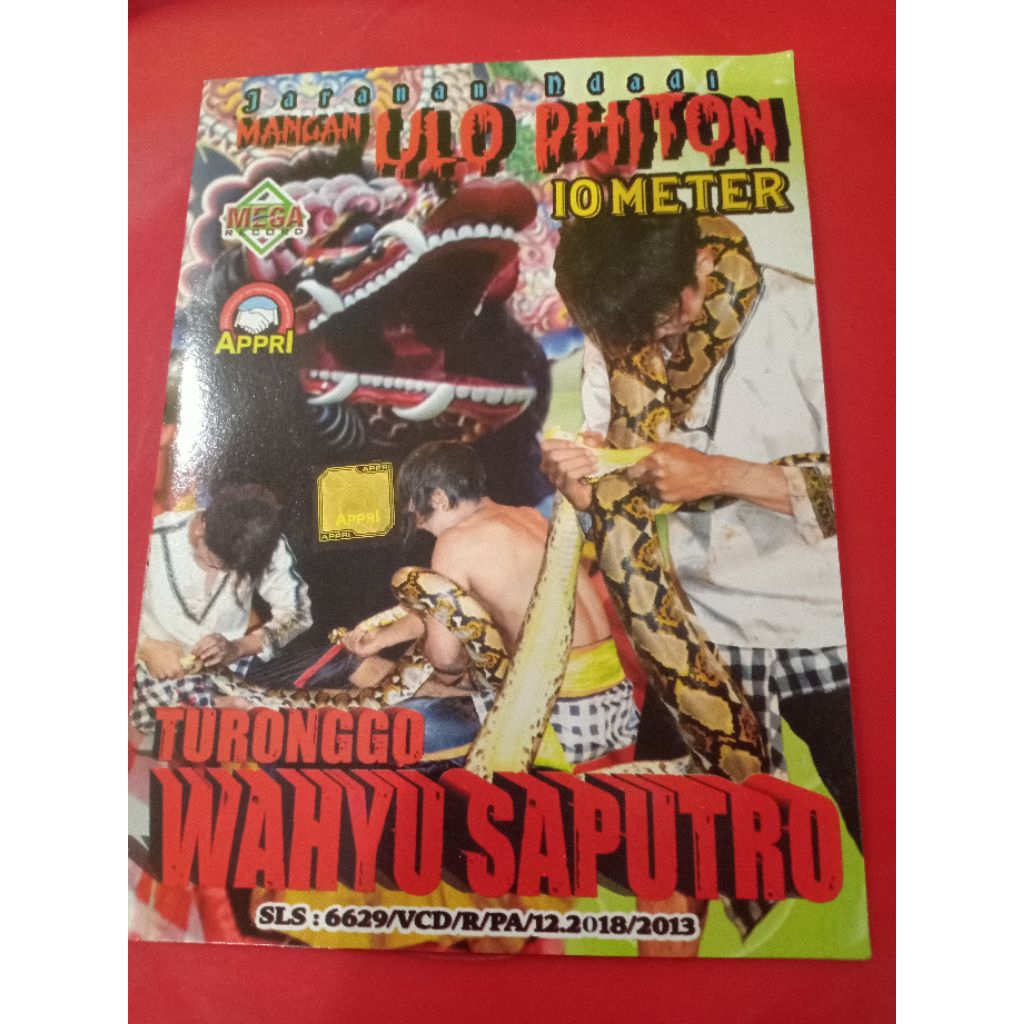 VCD JARANAN TURONGGO WAHYU SAPUTRO