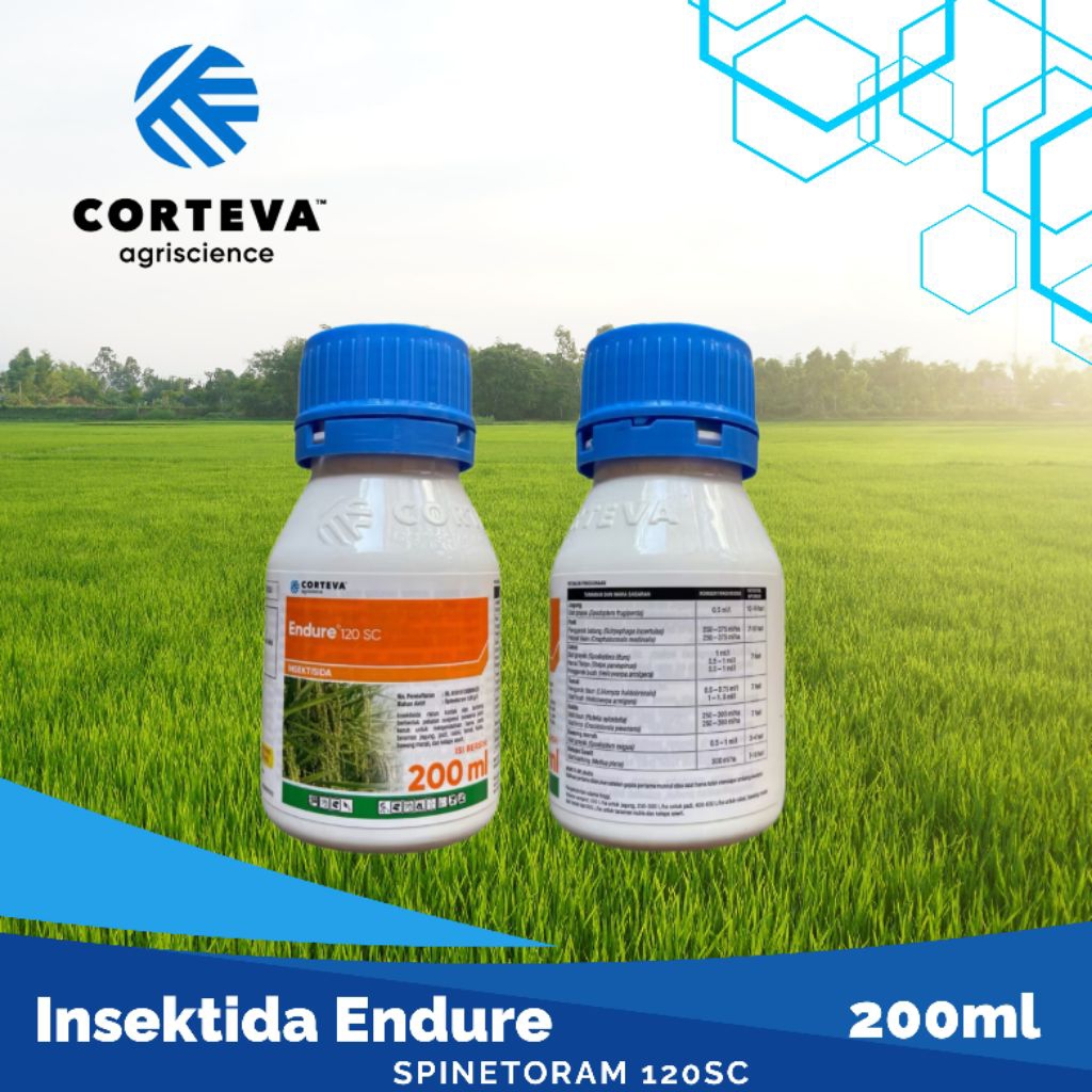 Insektisida Endure 200ml original