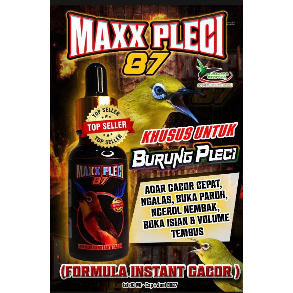 Maxx pleci penggacor seketika