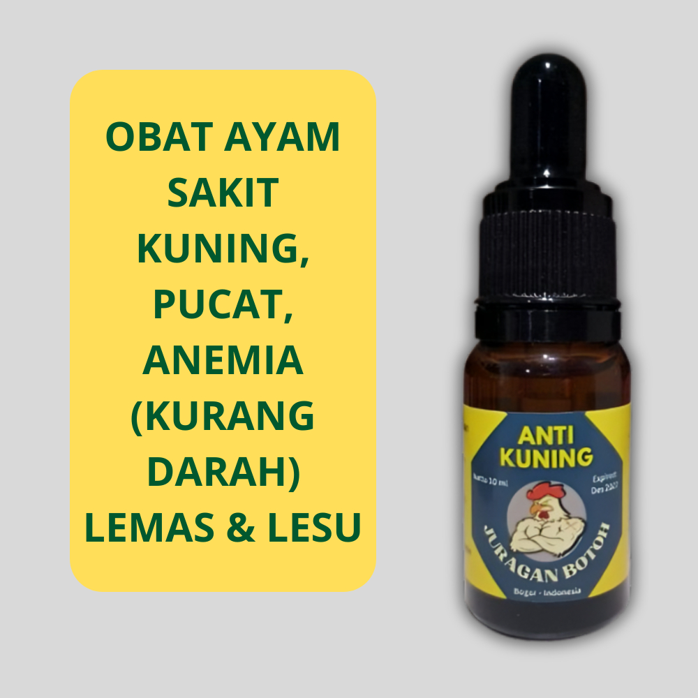 Obat Ayam Pucat Sakit Kuning Lemas Lesu Anemia Kurang Darah