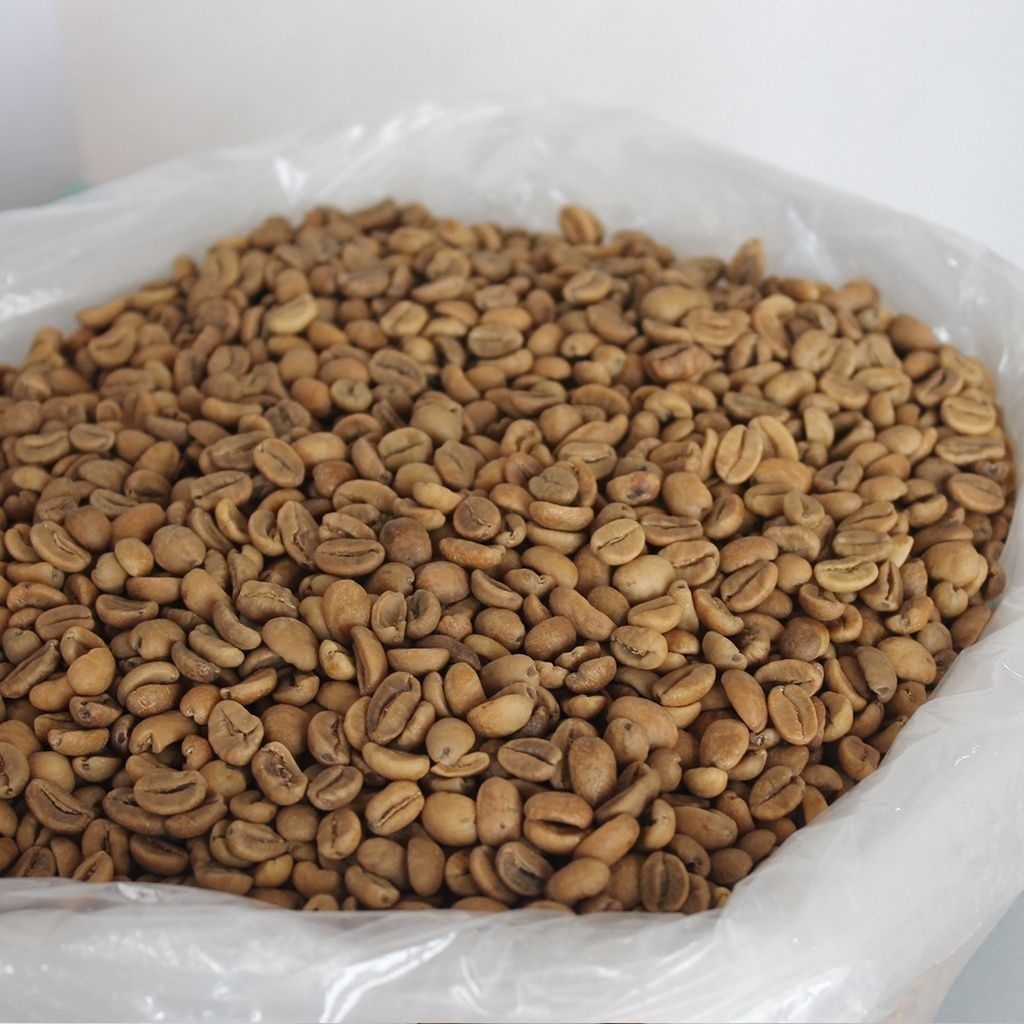 Green Bean Kopi Arabika Gayo Wine Proses Natural Fermentasi 1kg Single Origin bye RJ Coffee Shop