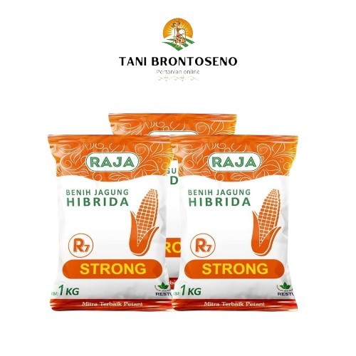 Benih Jagung Hibrida Raja R7 Strong - 1kg