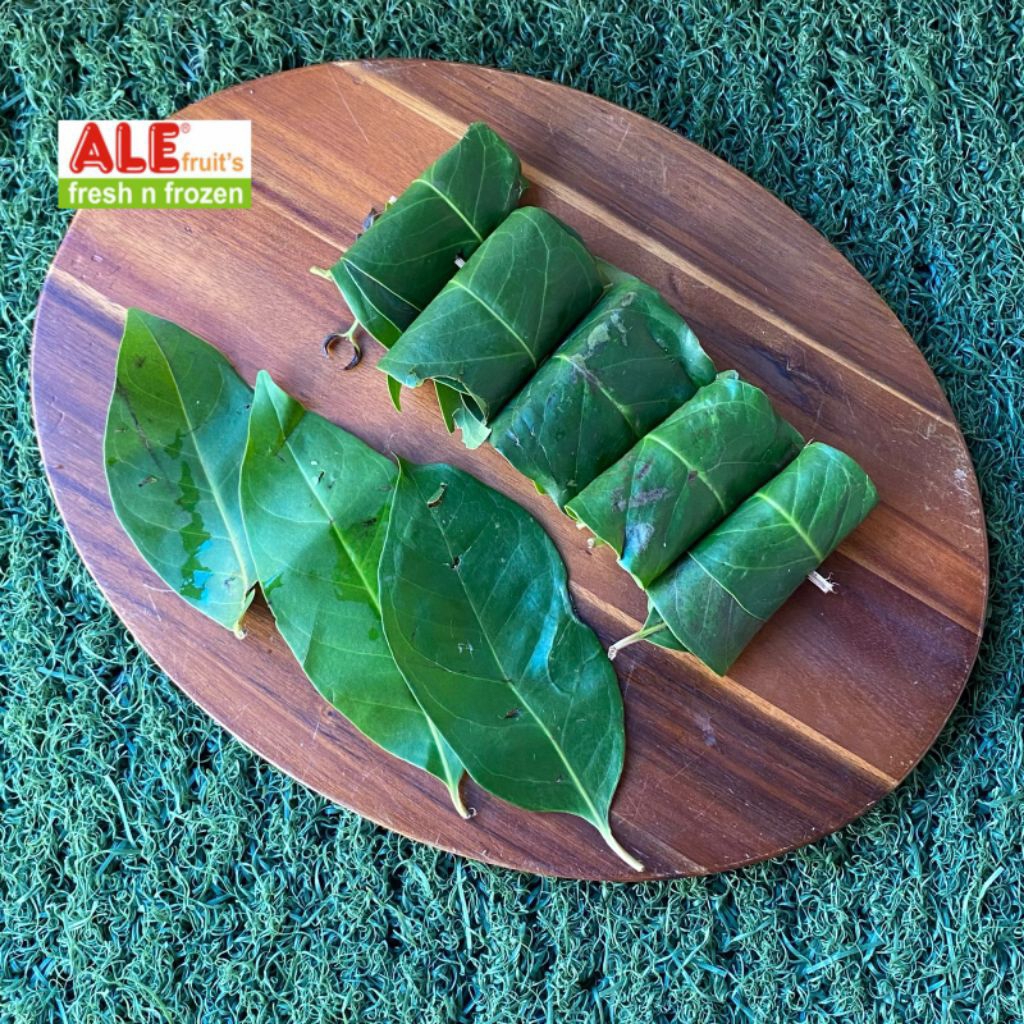 Daun salam fresh, Daun salam, daun salam segar