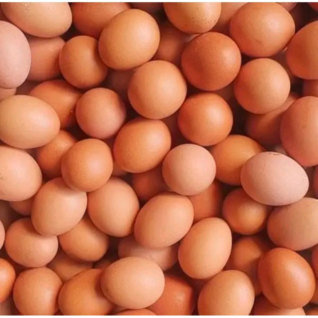 

Telur ayam negri Grade A per 1kg