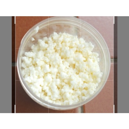 Bibit Kefir Susu Fermentasi / Kefir Grain 50 gram