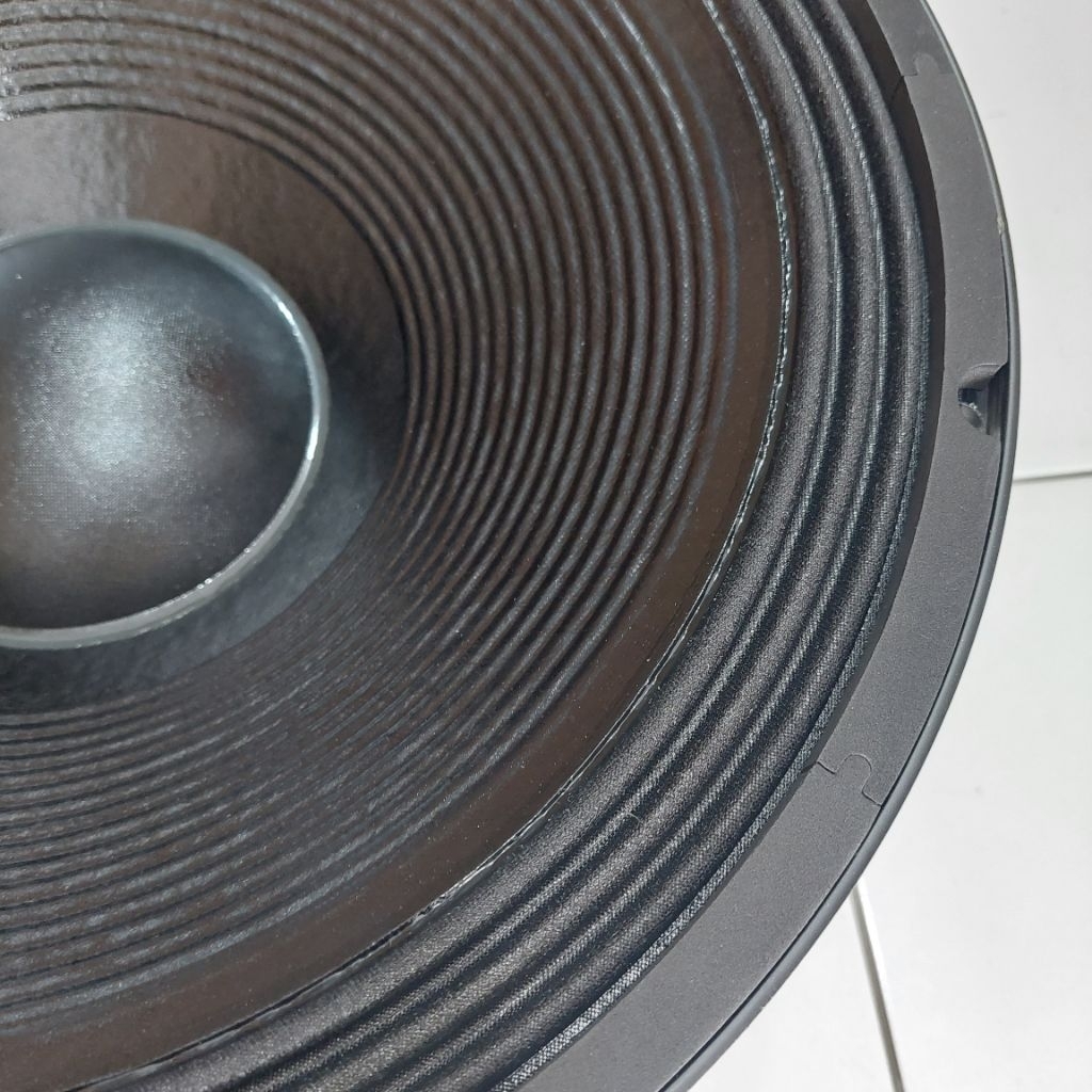 speaker BNC 18 TBW 100 speaker 18inch