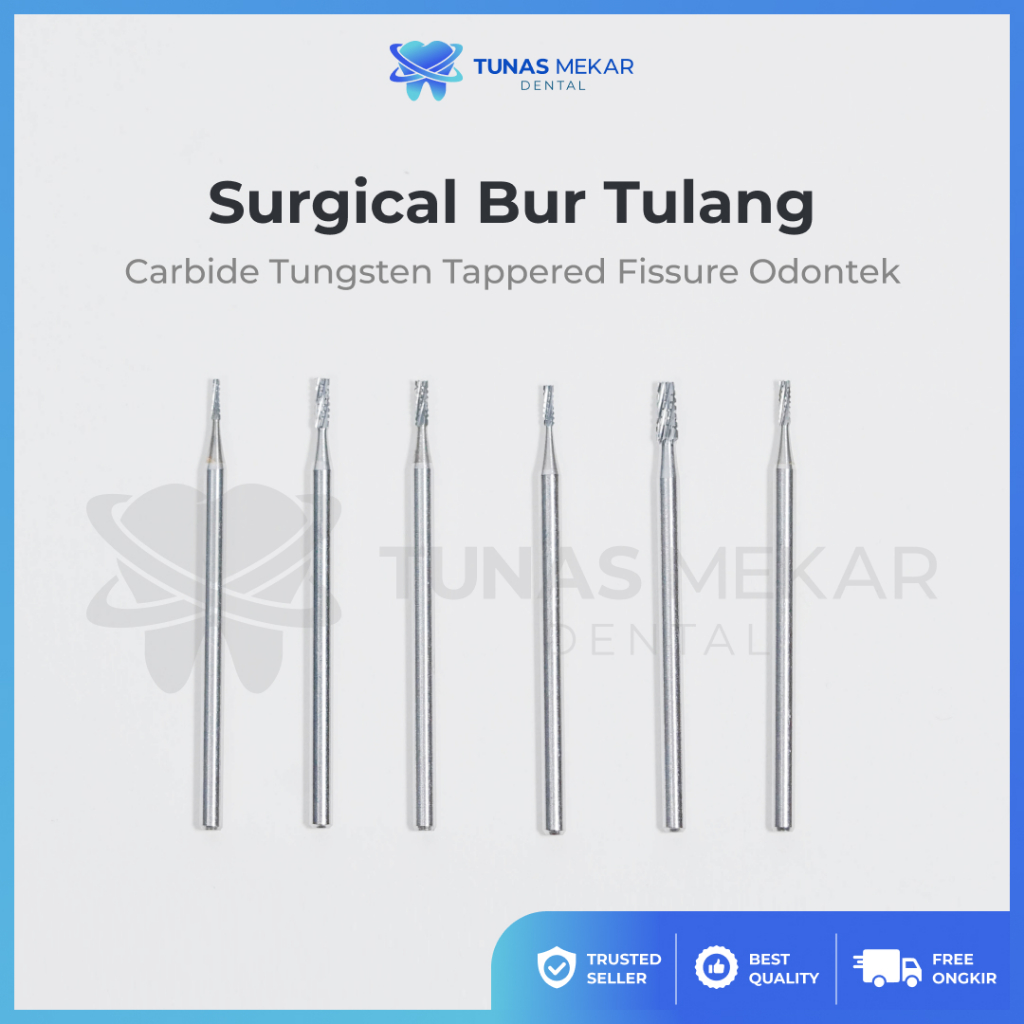 Dental Surgical Bur Tulang Carbide Tungsten Tappered Fissure Odontek Seperti SS