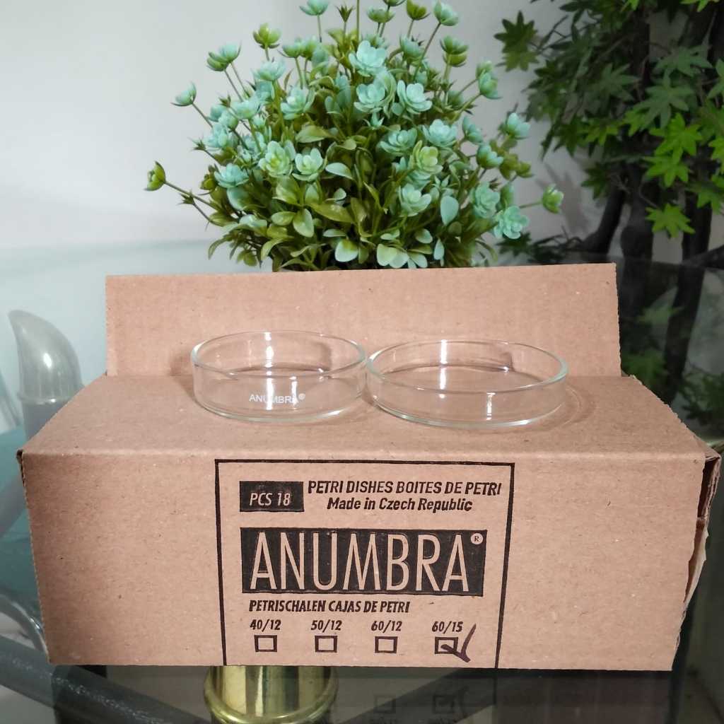 Petridish Cawan Petri Anumbra Size 60 mm