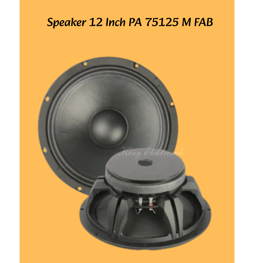 Speaker 12 Inch ACR PA 75125 M FAB