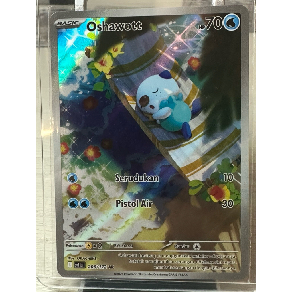 Oshawott 206