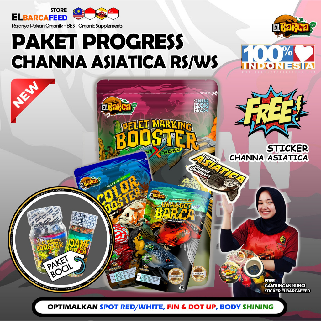 PAKET PAKAN CHANNA ASIATICA RS dan WS (Body Mutiara Shining, Full Dot) Free Sticker Channa