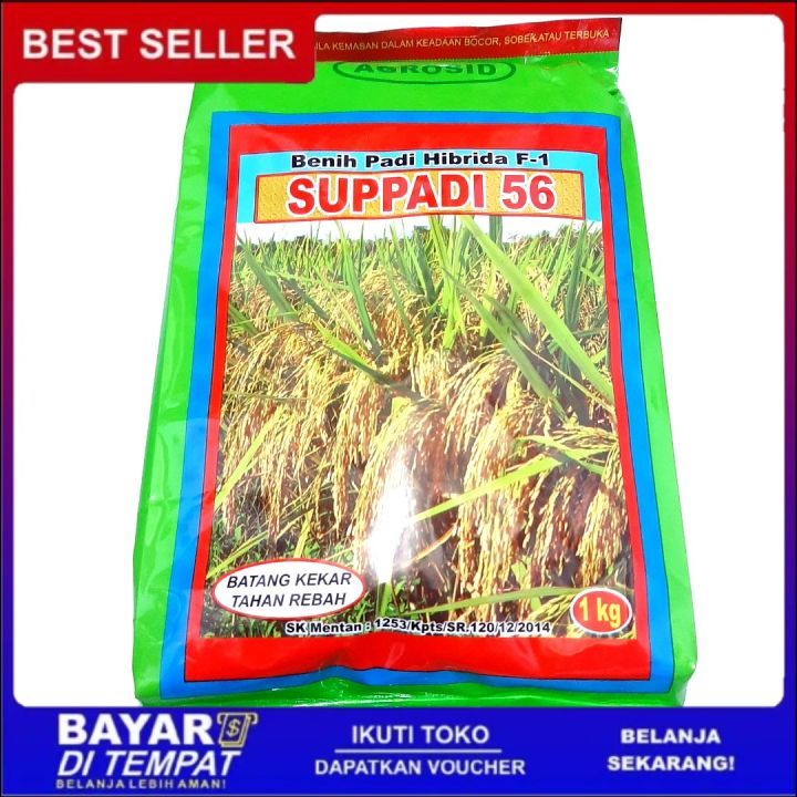 Benih Padi Supadi 56 Hibrida 100%