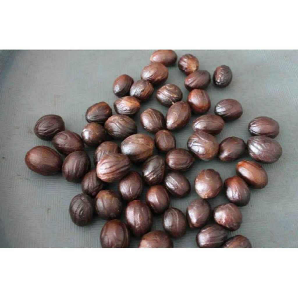 Biji pala Kering 1 Kg