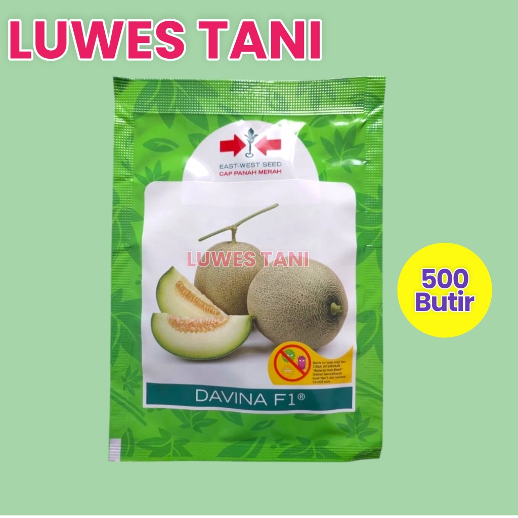 BENIH MELON DAVINA F1 500 BUTIR CAP PANAH MERAH