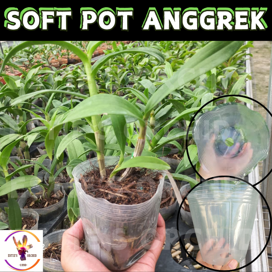 SOFT POT PLASTIK ANGGREK FLEKSIBEL